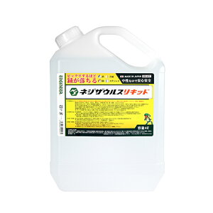 ̓GWjA yZC-27zlWUEXLbh (4989833090272)