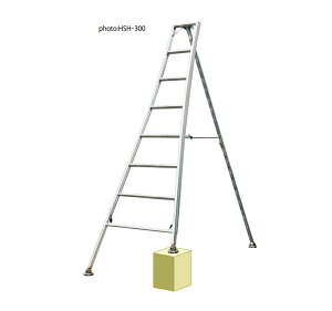 ݃iJI yHSH-300zOrߎ|r TLN̂ёY HSHV[Y