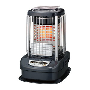 Ri g[@yGH-G12N(A)zu[^bN u[o[i (Ɩp^Cv) R̗ 31p ^N̎