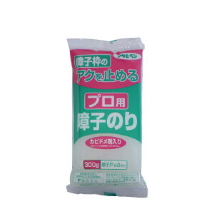 ̓ATqy y103727zvpq̂ 749 300g (4970925103727)