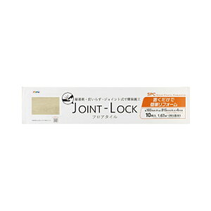 ̓ATqy y172501zJOINT-LOCK JL-01 10}CC (4970925172501)