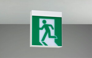  ƖyFBK-10702-LS17zCV䒼tʗU {̂̂ {B}