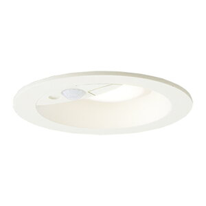 ���p�i�\�j�b�N �Ɩ����yLRDC3143LLE1�z�����p�_�E�����C�g FreePa(�Z���T)���o�}�� �y�A�_���\ �h�J 100�`���� �d���F �g�U�}�C���h ��100 {E}