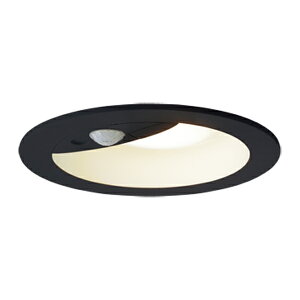 ���p�i�\�j�b�N �Ɩ����yLRDC3144VLE1�z�����p�_�E�����C�g FreePa(�Z���T)���o�}�� �y�A�_���\ �h�J 100�`���� �����F �g�U�}�C���h ��100 {E}