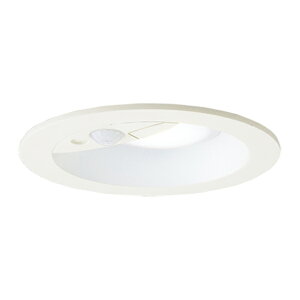 ���p�i�\�j�b�N �Ɩ����yLRDC3143NLE1�z�����p�_�E�����C�g FreePa(�Z���T)���o�}�� �y�A�_���\ �h�J 100�`���� �����F �g�U�}�C���h ��100 {E}