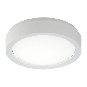 pi\jbN ƖyNWCF16101LE1zKi 30ԃ^Cv hJ^V[O(uPbgp^)  zCg x[VbN dF {V}