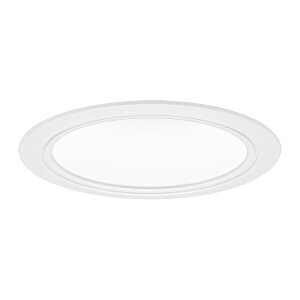 ���p�i�\�j�b�N �Ɩ����yNLN28363W�z�����F �_�E�����C�g 100�`250�` ��100 �L�p 3000K �d�����j�b�g�ʔ� �󒍐��Y {S}