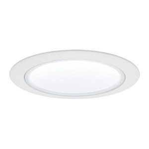 ���p�i�\�j�b�N �Ɩ����yNLN28017W�z�_�E�����C�g 100�`250�` ��75 �g�U 3500K �d�����j�b�g�ʔ� �󒍐��Y {S}