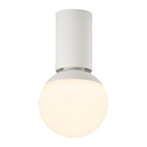 ���p�i�\�j�b�N �Ɩ����yNNN53800�zLED�d���V�[�����O���C�g �����v�ʔ� {L}