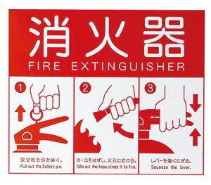 u.iX^/NastayKS-FE480z\v[g ^CvL