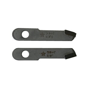 ̓X^[G/STAR-M y36T-Kzdݐ d֐n 21g (4962660366017)