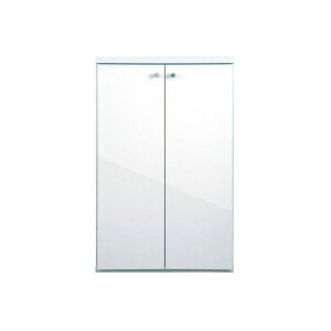 ACIY ySN-600zʔ ʔE֎[ X^Cv Ԍ600mmkGCl