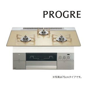 m[c rgCRyN3S22PWASFSTESCzPROGRE(vO) FLAT 60cm VpS[hKXgbv XeXƂ