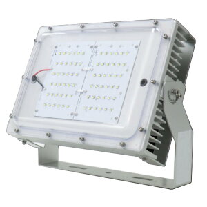 GREgXgEWp ƖyTLFL300M-50100115CzLED ⓔ300` NAJo[f F(5000K) h~C[t