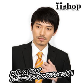 ★専用ソフトネットとの併用で医療用としてもおすすめ！【メンズウィッグ　レビューを書いてWIGケアセットGET♪】ラパンドアールカームショート3463