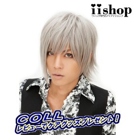 楽天市場 V系 ウィッグの通販