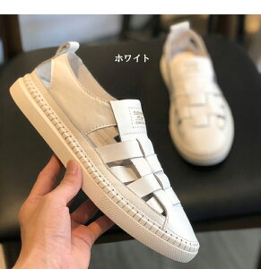 T_ Y  OJT_ JT_ Y X|[c ؂ U[T_ 傫TCY O y ɂȂ _炩 ₷ Ȃ Ȃ  JW