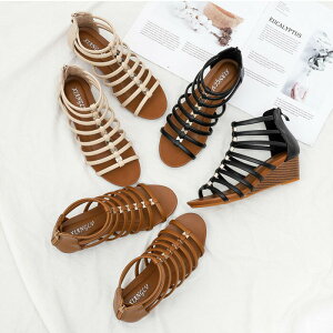 T_ fB[X OfBG[^[ T_ 5cmUP EFbWq[ T}[u[c u[cT_ AEghAT_  r Wbp[ 3F   Sn 芴