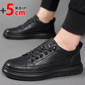 5cm gAbv Xj[J[ Y Xj[J[ C??\?[? [XAbvV[Y YV[Y rWlX JWA y  {[ ʋC C Xj[J[ g w