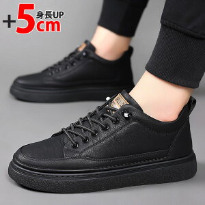 5cm gAbv Xj[J[ Y Xj[J[ nCJbg Xj[J[ y ʋC C Xj[J[ g wȂC Y gup Cq[ X|[cV[Y  ubN 