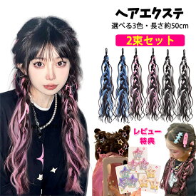 【15日限定10%OFFクーポン】 即納 エクステ ワンタッチ 子供 大人 三つ編み 編み込み キッズ ダンス エクステ ゴムタイプ 2本セット ウェーブ エクステ グラデーション ヘアーエクステンション ポニーテール 女の子 ウイッグ カール ロング つけ毛 派手 ツインテール