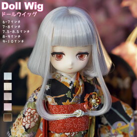 1/3 1/6 1/4 ドール用ウィッグ かつら 人形ウィッグ ヘッド用ウィッグ 耐熱ウィッグ ボブ ロング ストレート ウェーブ 長い髪 前髪 手作りウィッグ SD DD BJD 茶髪 ヘアアクセサリー 伸縮性メッシュ 撮影用 コスプレ シルバーグレー ブラウン ゴールド ピンク ブルー