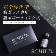 ガラスコーティング剤 最強 撥水 窓ガラス専用撥水コーティング剤10ml　窓ガラス フロントガラス コーテ…