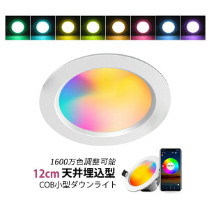 _ECg LED VƖ ߍ APP Bluetooth V䃉Cg CeAƖ 9W dF F F COB_ECg rO _CjO  Q L gC  V䖄^