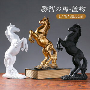 u n  CeA IuWF G  k I[ig  N K[fjO  u v[g X  W V Mtg A tBMA S[WX n̑ 