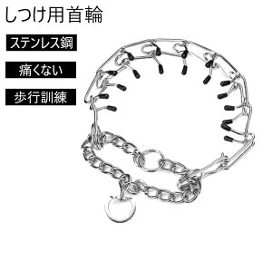  p p XeX| ̃^Cv ɂȂ sP ybgUpi ybgp ^ ^ ^ g[jO P