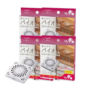 Ѓj[Y oCI iCp / pj 1` IׂZbg Jr h~ oCIN p C oXpi hJr