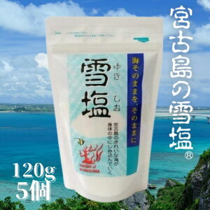 {Ó ቖ@Lׂ̍ pE_[^Cv ɂܗL