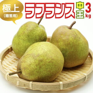 puR`YEtX  3kgvMtg Ε 