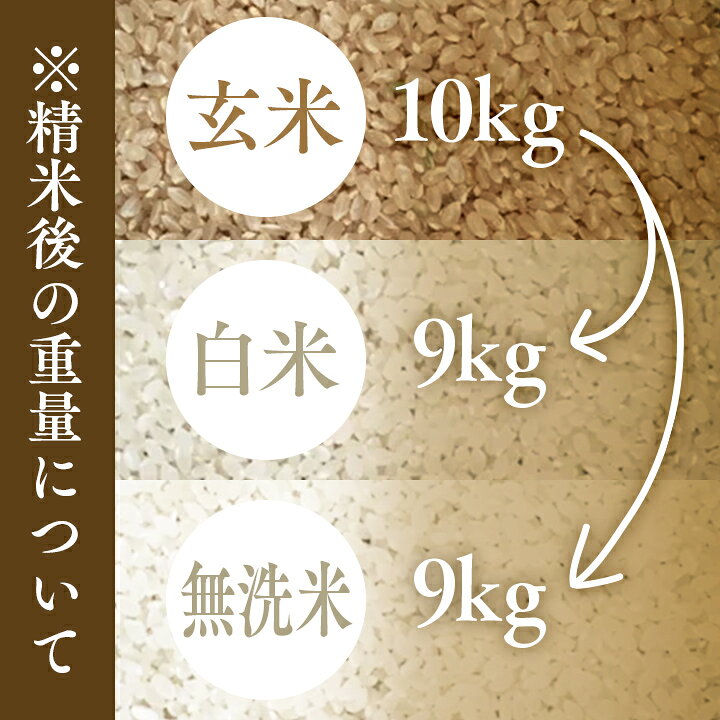 楽天市場】令和7年産 新米【山形県産 はえぬき10kg】精米無料（玄米 