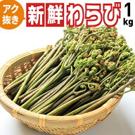 天然わらび【アク抜き新鮮わらび1kg】山形県飯豊町産・天然山菜ワラビ あく抜き済み わらびを塩漬けから…