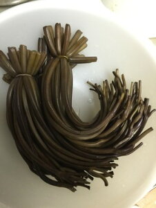 񂹃O R`іLY т̉Ђ 1kg S ^[pbNAws