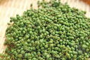 【全国送料無料】真空急速冷凍 新鮮「生山椒の実 1kg」山形県飯豊町産 2026年朝採り お徳用大容量 実山椒 ※沖縄県・…
