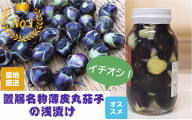 【全国送料無料】柿渋無農薬栽培 伝統野菜「薄皮丸茄子（生なす）1kg」山形県飯豊町産 朝採り ※沖縄県・…