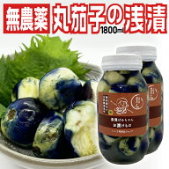 【全国送料無料】伝統野菜 柿渋無農薬「薄皮丸茄子 瓶詰め浅漬け 900ml×2本」山形県飯豊町産 内容量1.2k…