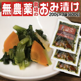 柿渋散布の天然農薬栽培 山形名物おみ漬け200g×3袋 飯豊ばあちゃんの漬物シリーズ 東北・関東送料無料 冷凍保存も可能 11月末より順次発送