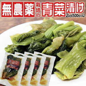 `aUz̓VR_͔|uؒЂMtg2kgvіL΂񂨒Ђ R` Ђ ؒЂ kE֓ Ⓚۑ 11菇