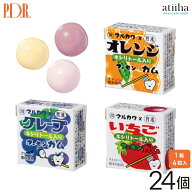【送料無料】キシリトール入マーブルガム フーセンガム 24箱【1箱4粒入り】