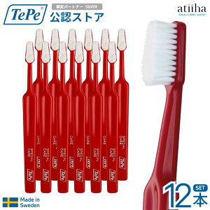 yzey TePe uV XyVPA bh moߕq̕Ɂy12{z