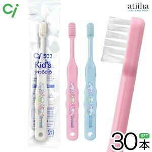 yzCi LN^[uV 503 Vi[ c`wZwN S炩߁y30{z