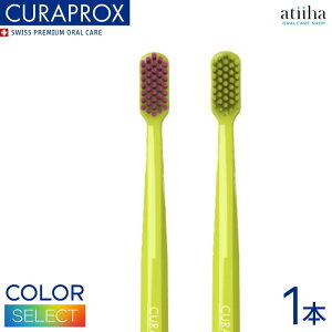 yzCURAPROX NvbNX uV CS5460 ̐F CgO[y1{z