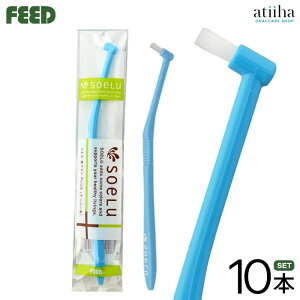 yzsoelu \G ^tguV PLUS vX e[p[сy10{z