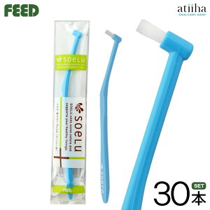 yzsoelu \G ^tguV PLUS vX e[p[сy30{z