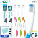 【送料無料】ジーシー GC ルシェロ 歯ブラシ ピセラ B-21【5本】 薄型ヘッド 女性 むし歯予防 4列植毛 コンパクト 歯科専売品 オーラルケア