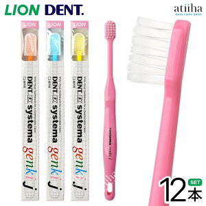 yzLION CI uV fgVXe}QLJ eB[Y y12{z 9΁`15Ό