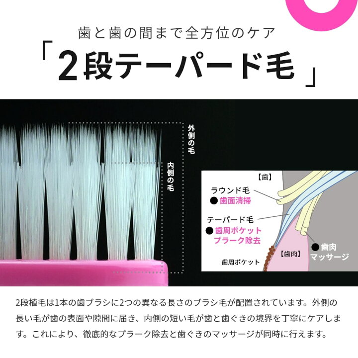 楽天市場】【送料無料】MOGU モグ 歯ブラシ TAPER FOUR テーパーフォー 